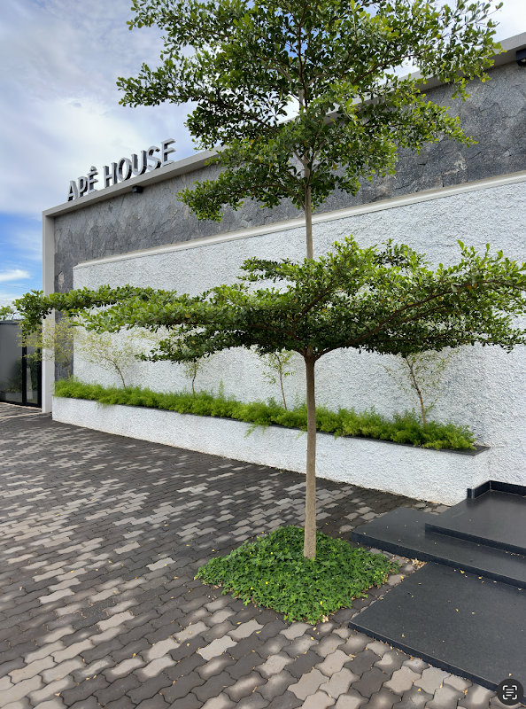 Logo ApêHouse | Imobi