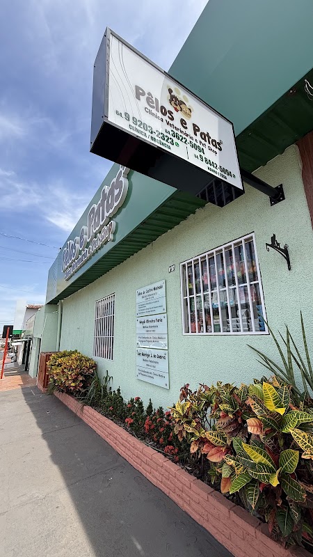 Logo Clinica Veterinária e Pet Shop Pêlos e Patas