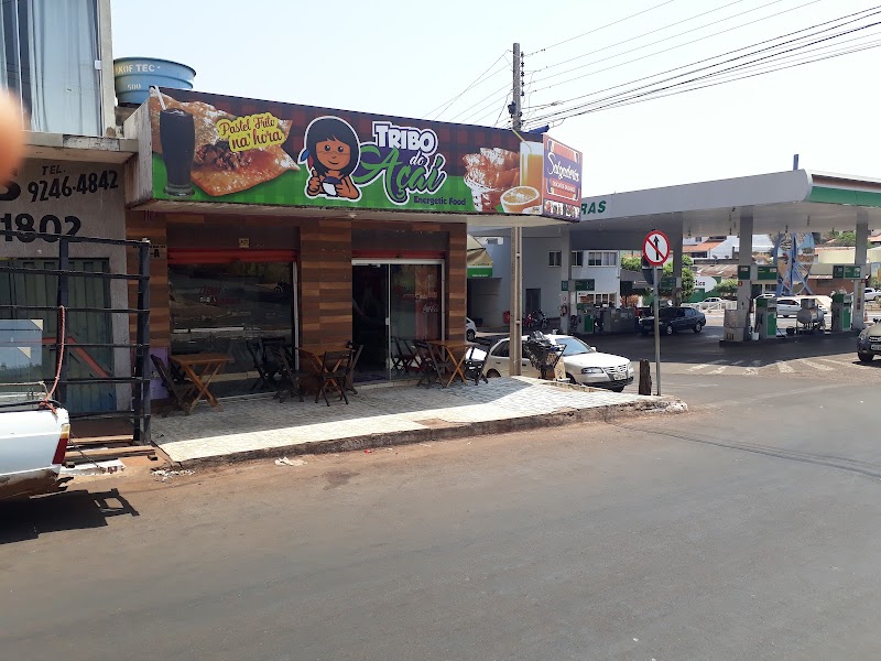 Logo Tribo Do Açaí