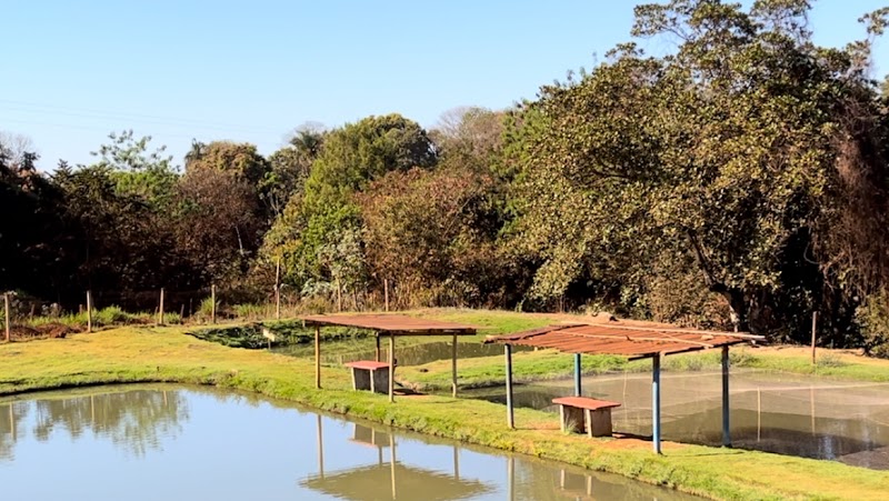 Logo Pesque e Pague Coqueiros