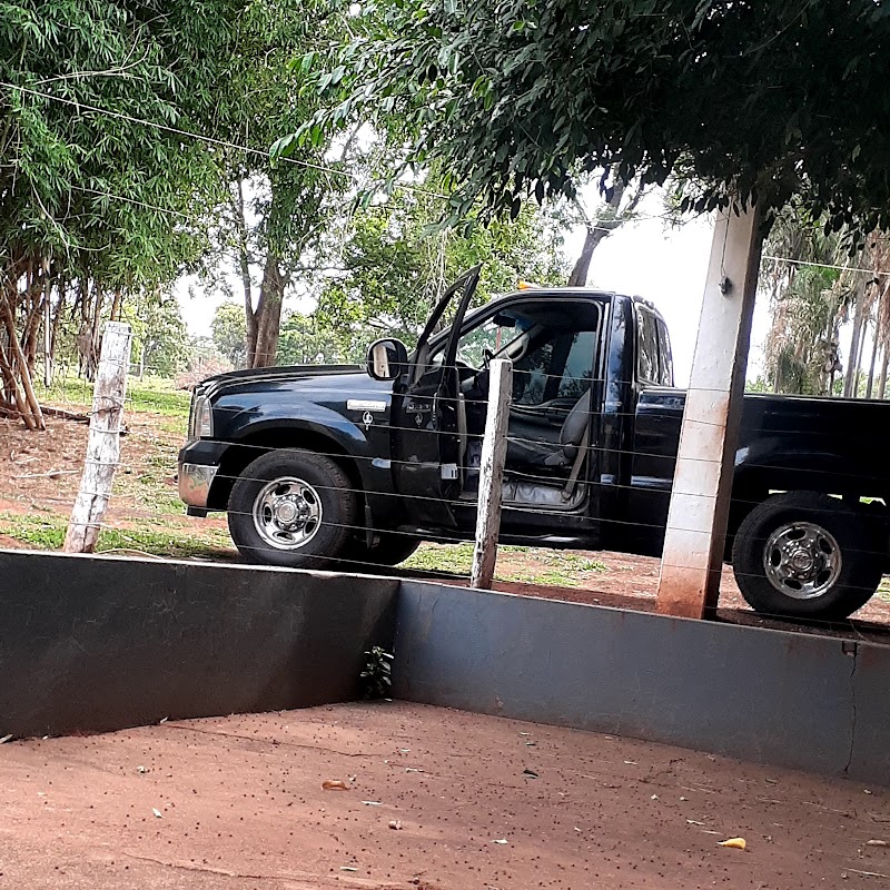 Logo Pesque Pague Do Valtinho