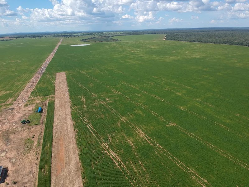 Logo MC Consultoria e Vistoria