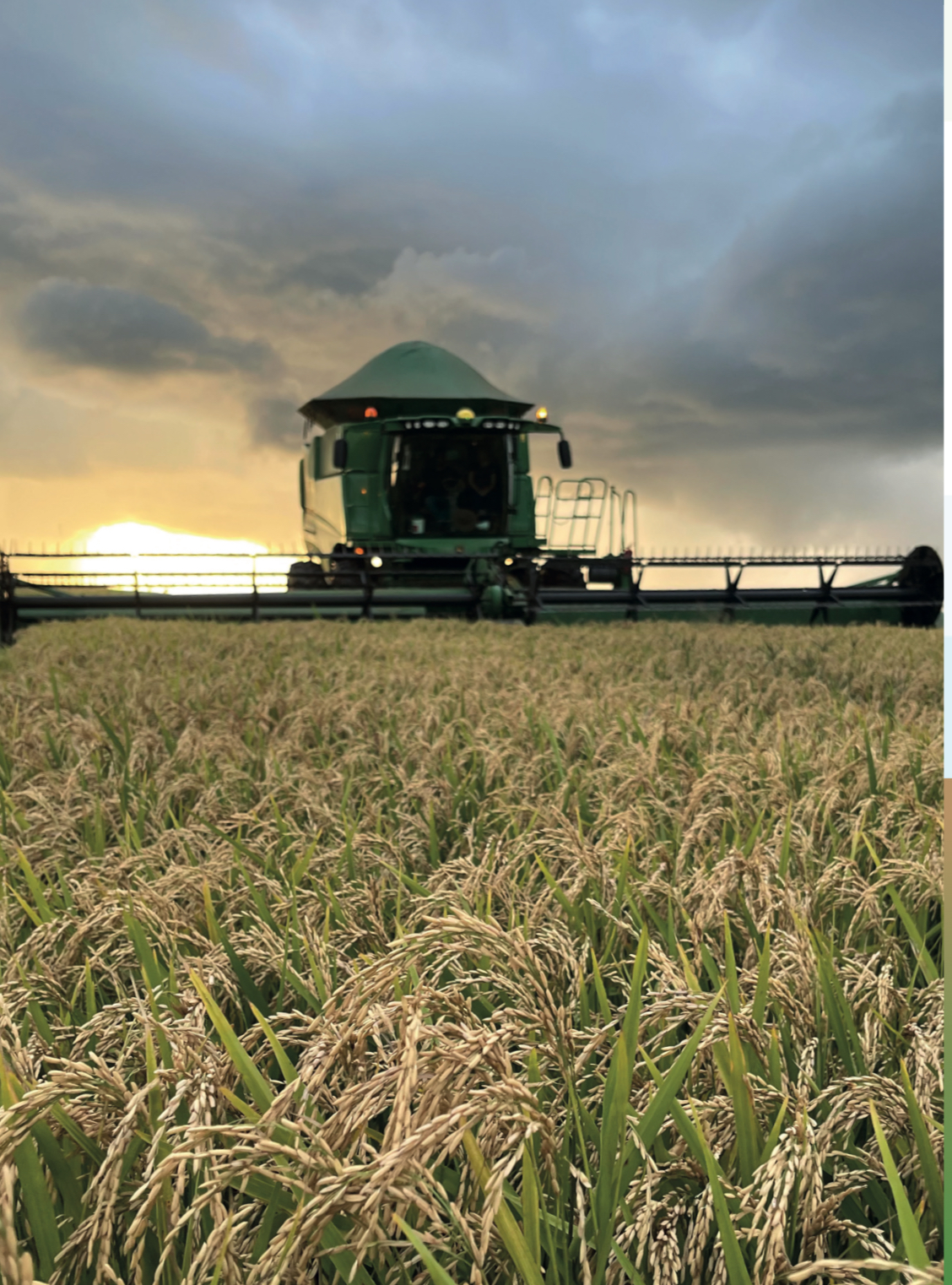 Logotipo da AgroSMTS Sementes em Rio Verde - GO