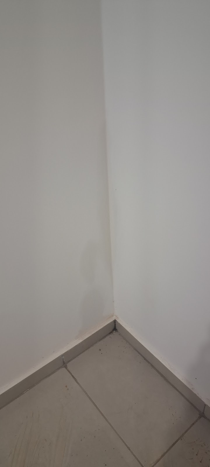 Galeria 2