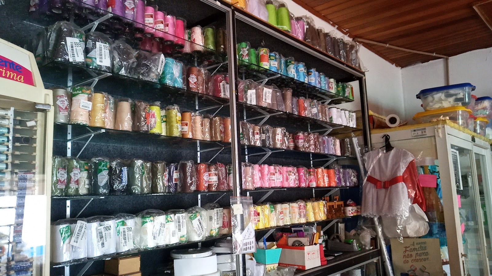 Galeria 1