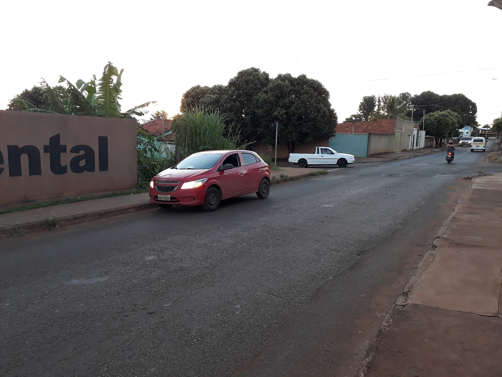 Galeria 1
