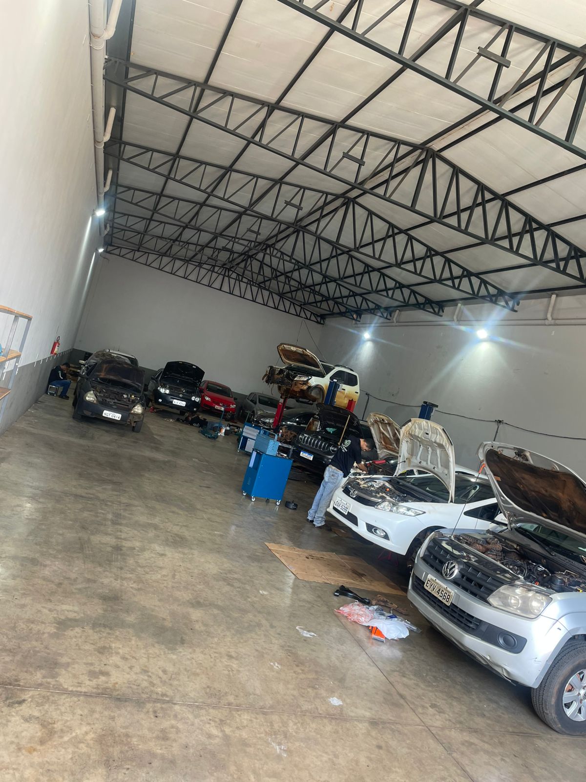 Galeria 1