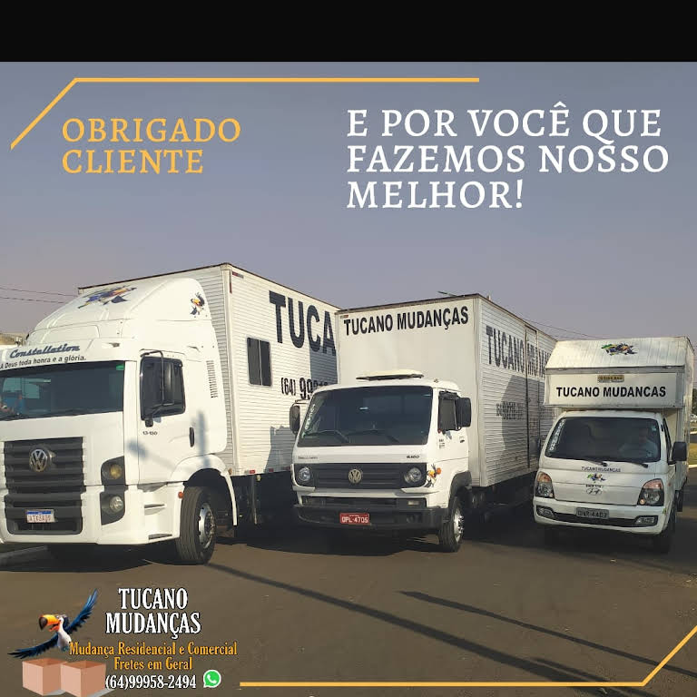 Logotipo da Tucano Mudanças em Rio Verde - GO