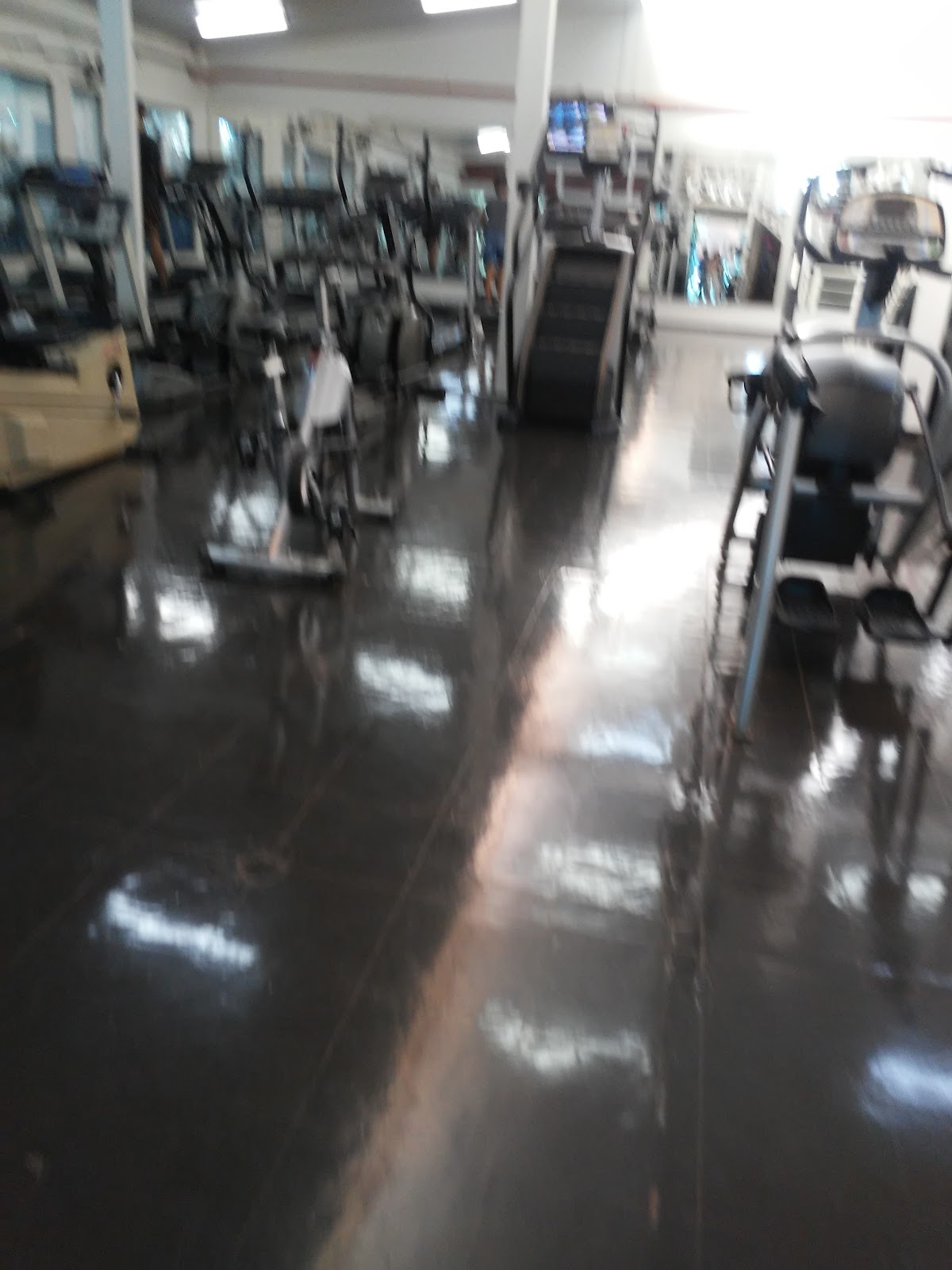 Galeria 1