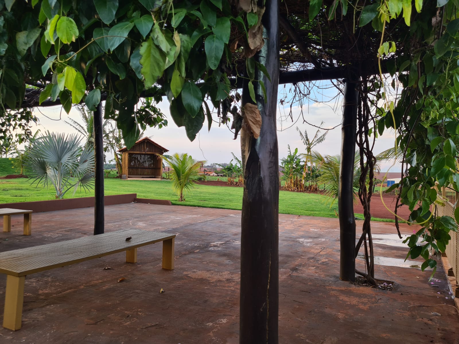 Galeria 1