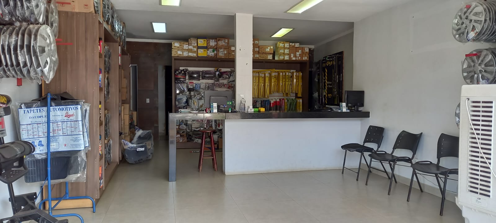 Galeria 1