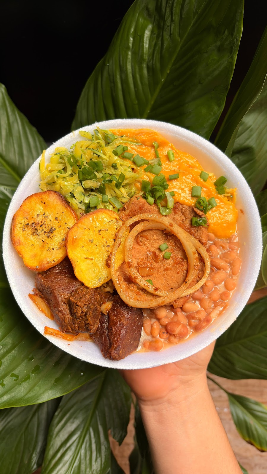 Logotipo da Marmita da Dona Onça | Comida Caseira Rio Verde GO em Rio Verde - GO