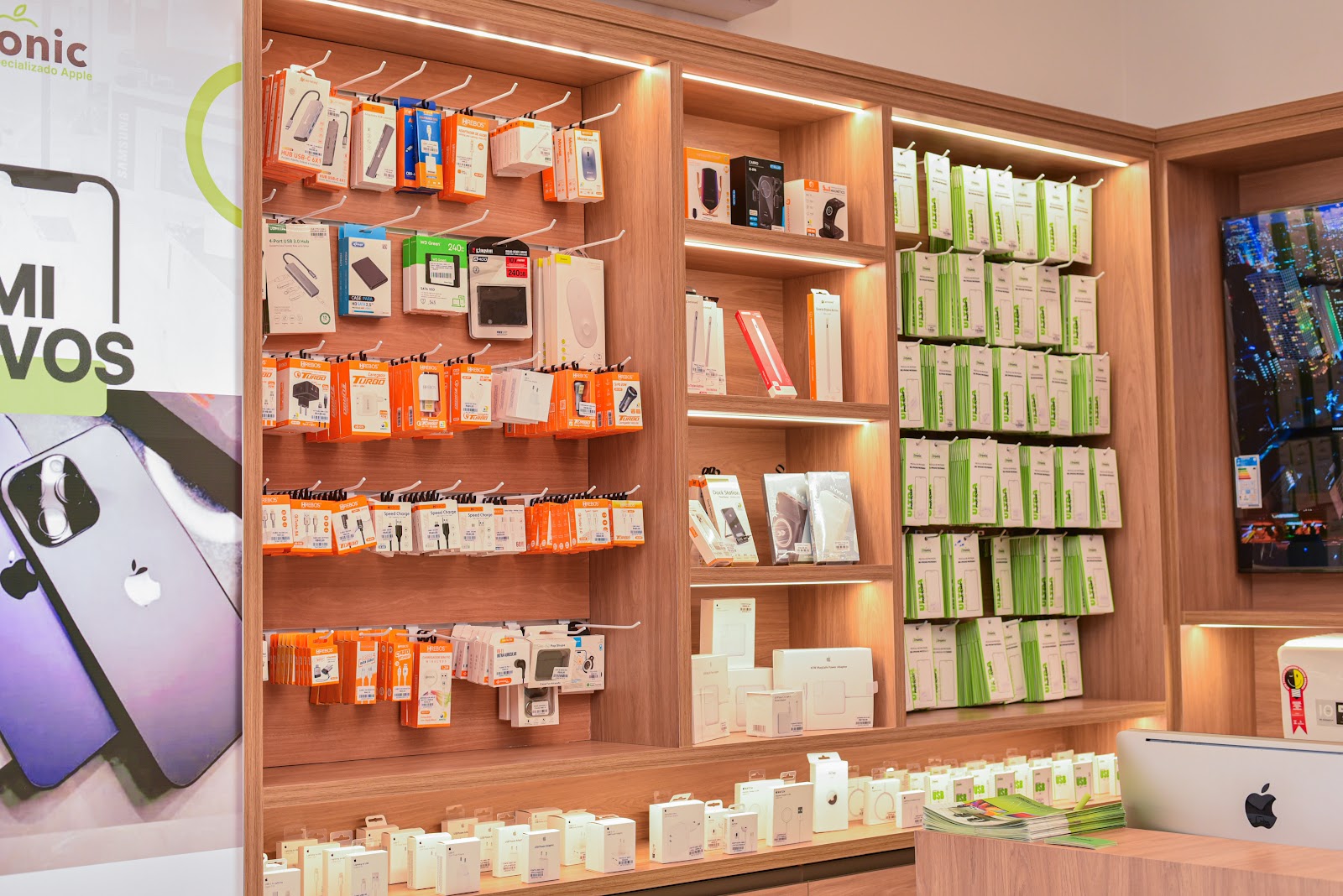Galeria 1
