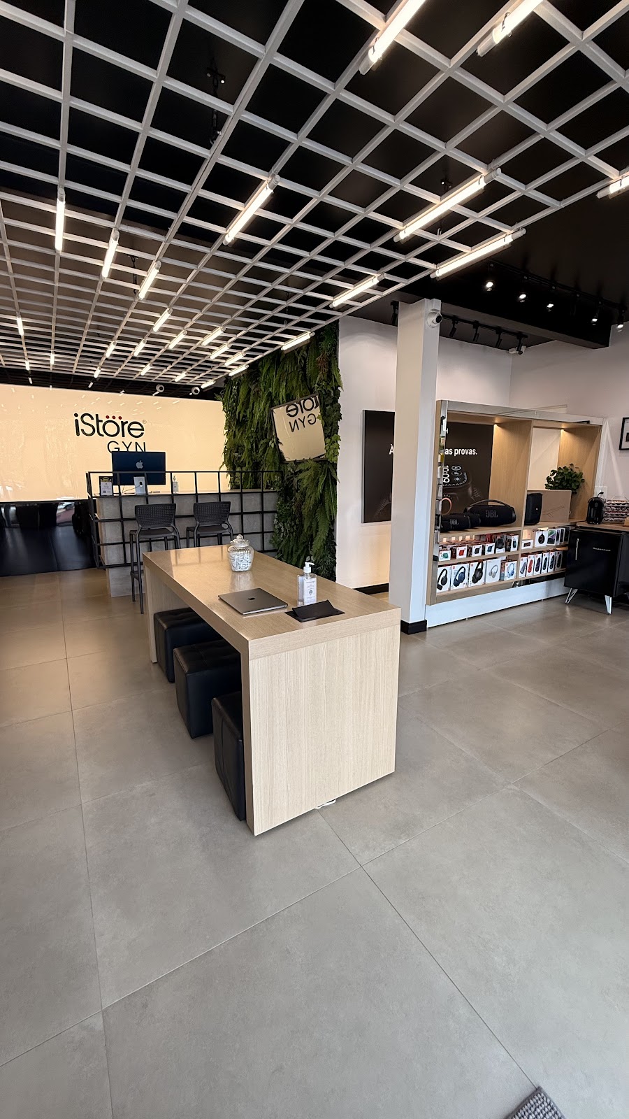 Galeria 1