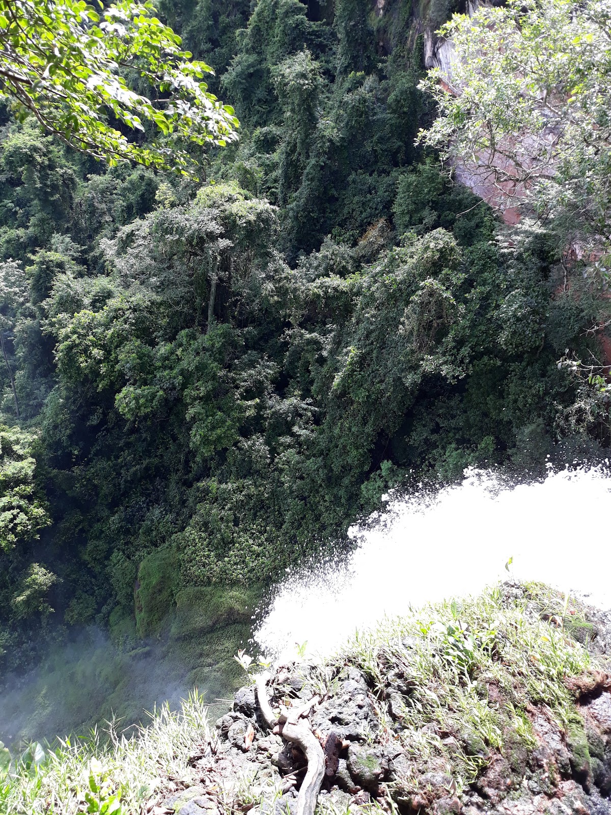 Galeria 1