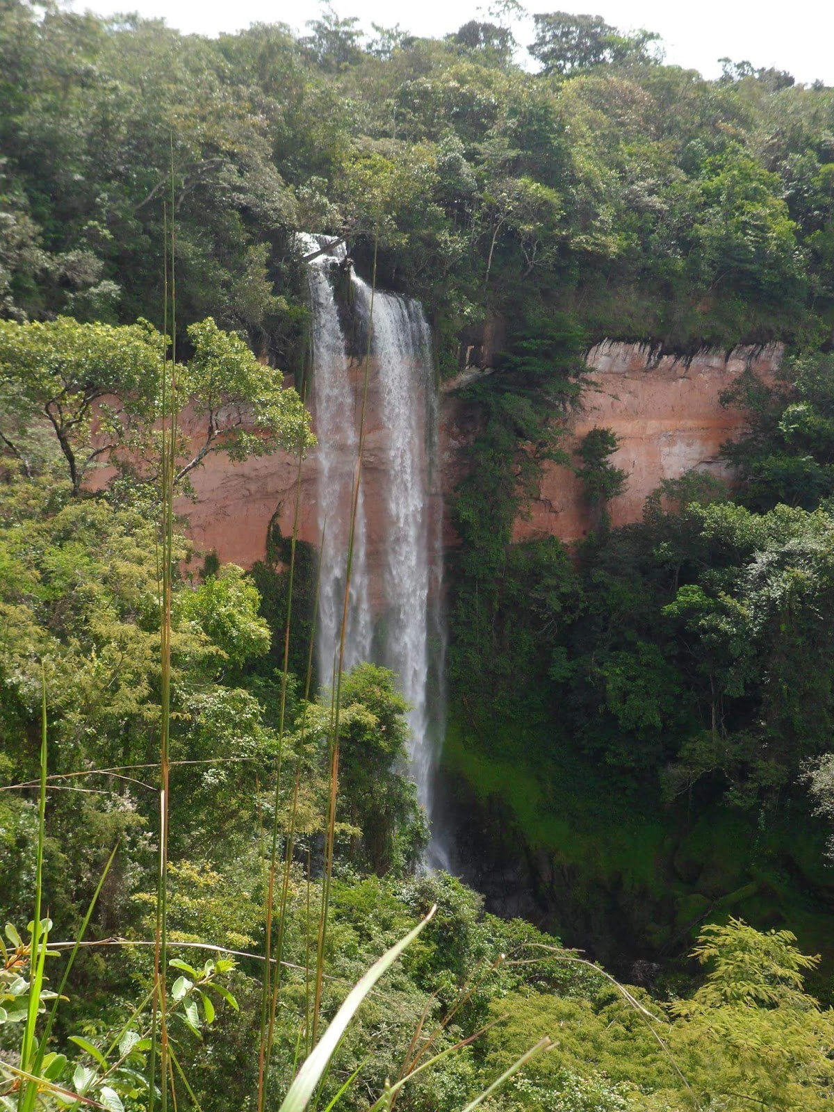 Logotipo da Cachoeira Água Limpa em Rio Verde - GO