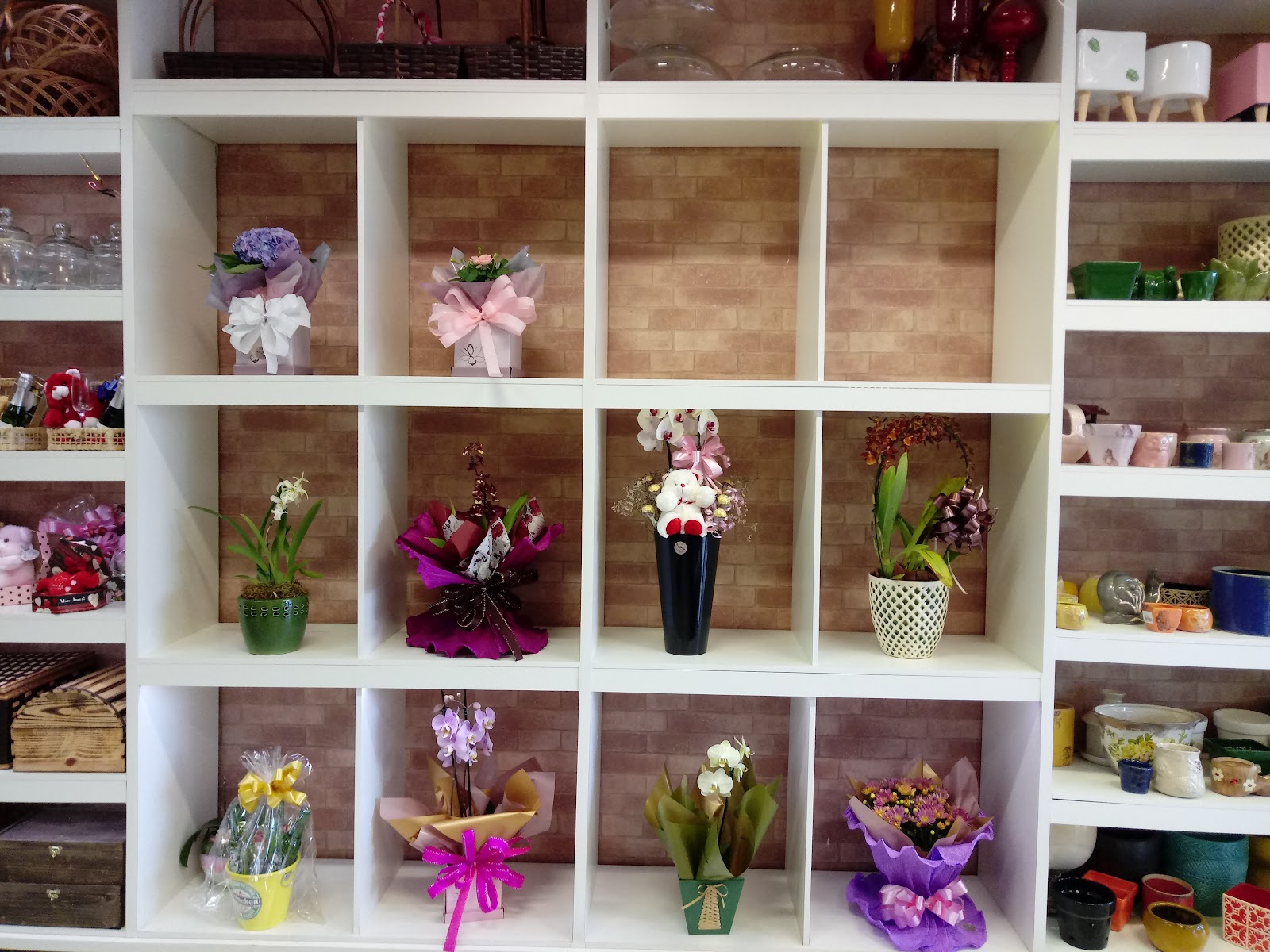 Galeria 1