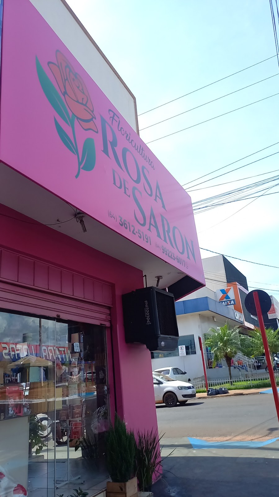 Logotipo da Floricultura Rosa de Saron em Rio Verde - GO