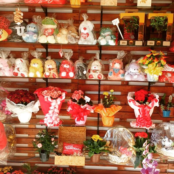 Galeria 1
