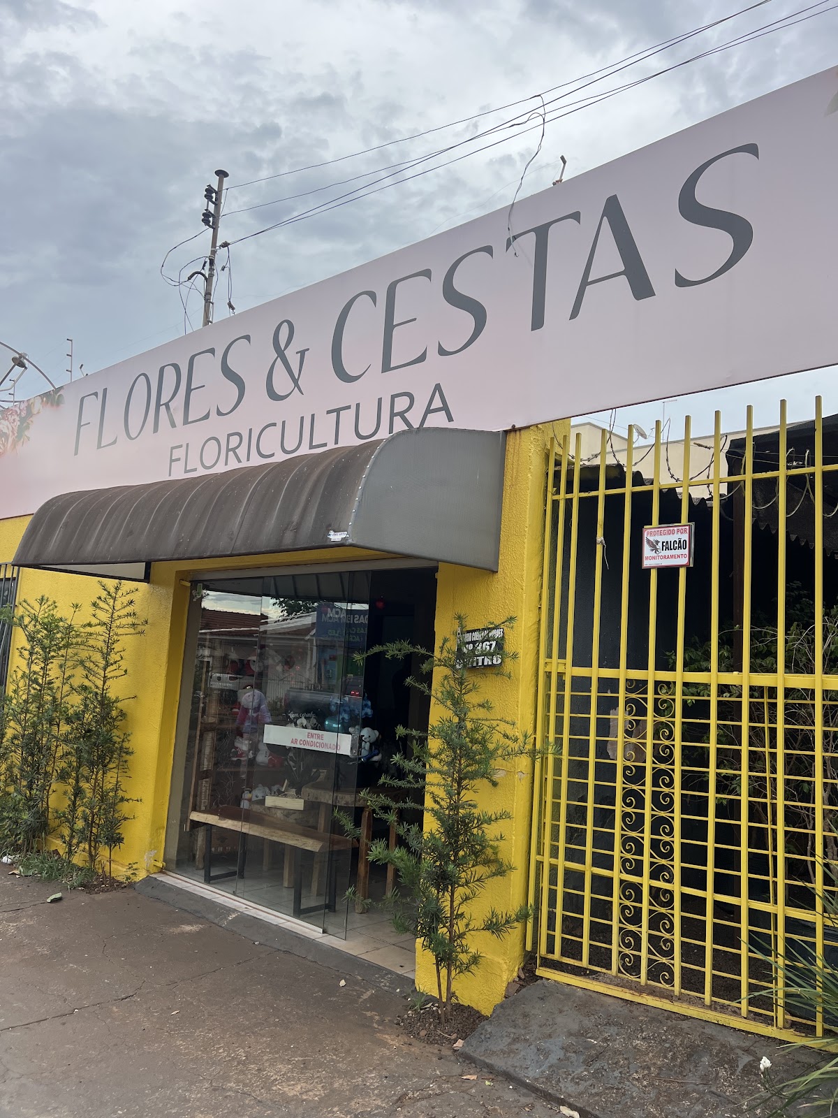 Logotipo da Flores E Cestas Floricultura em Rio Verde - GO