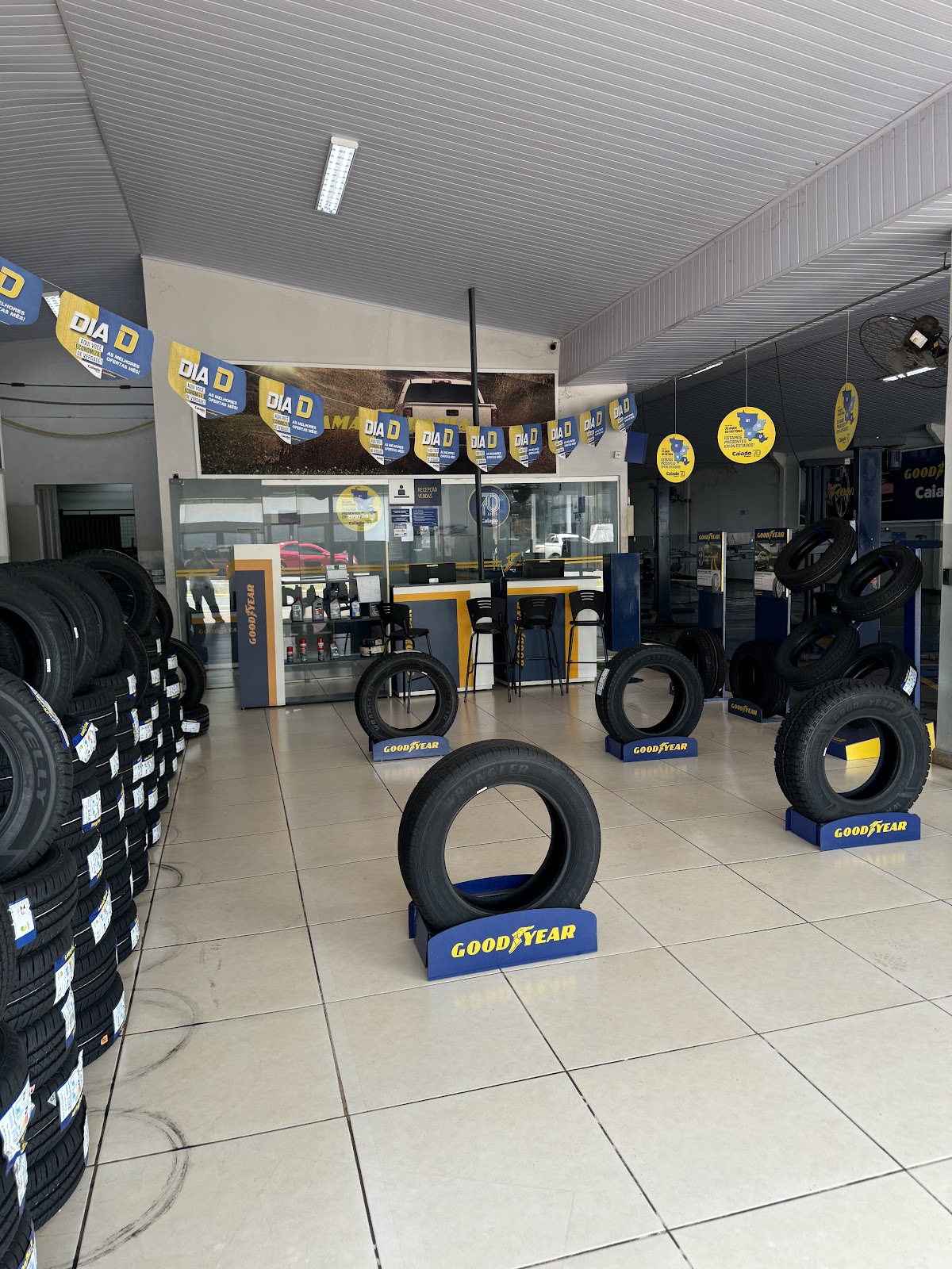 Galeria 1