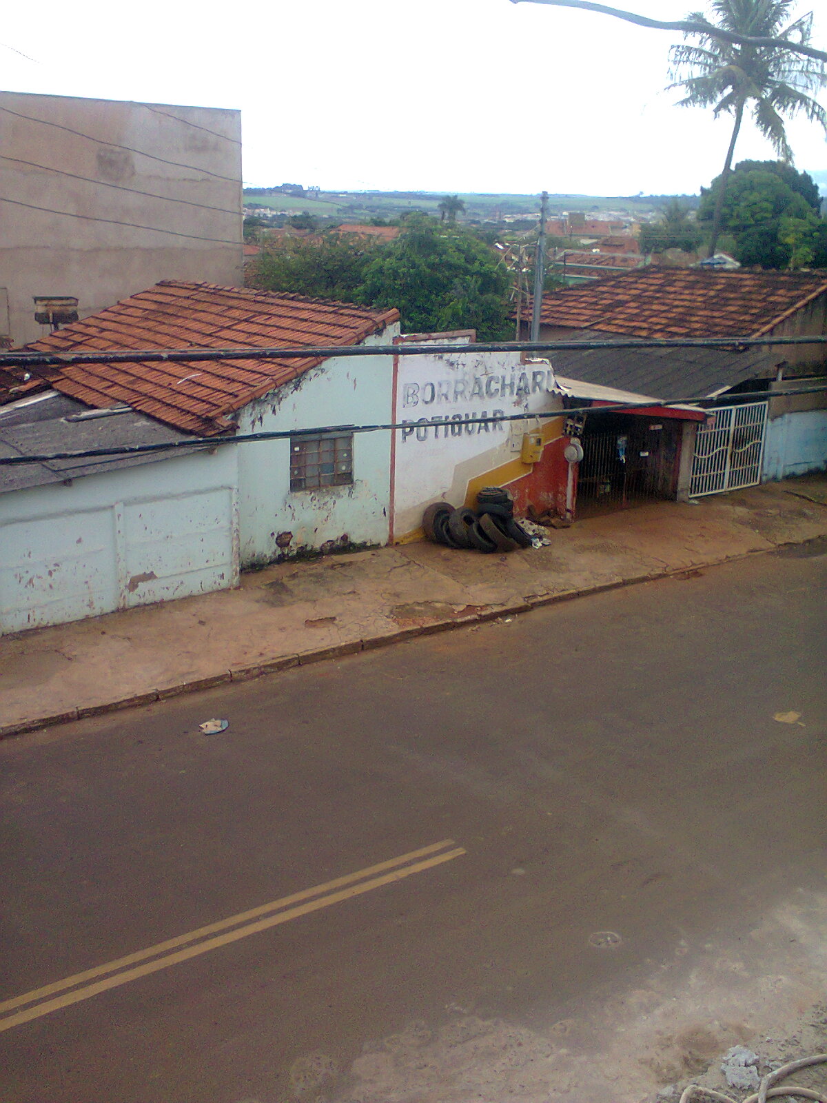 Galeria 1