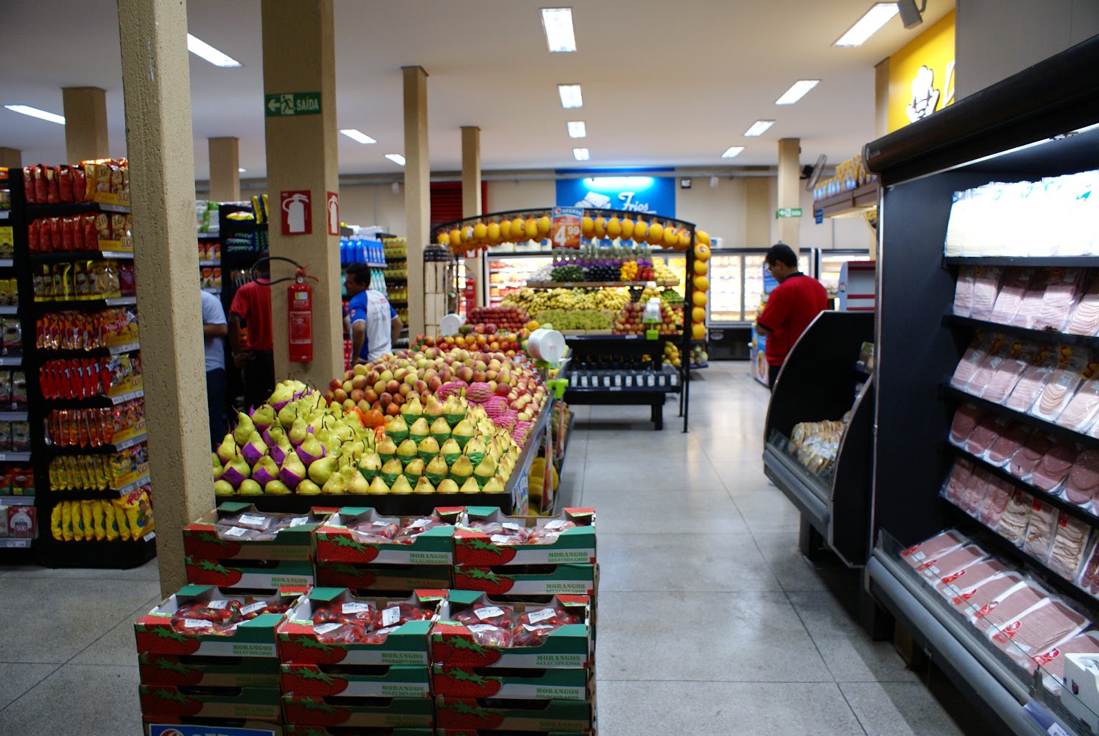 Galeria 1