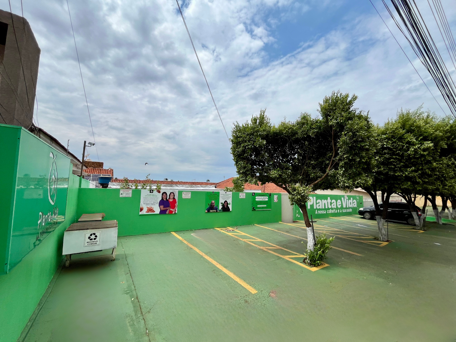 Logotipo da Planta e Vida | Centro em Rio Verde - GO