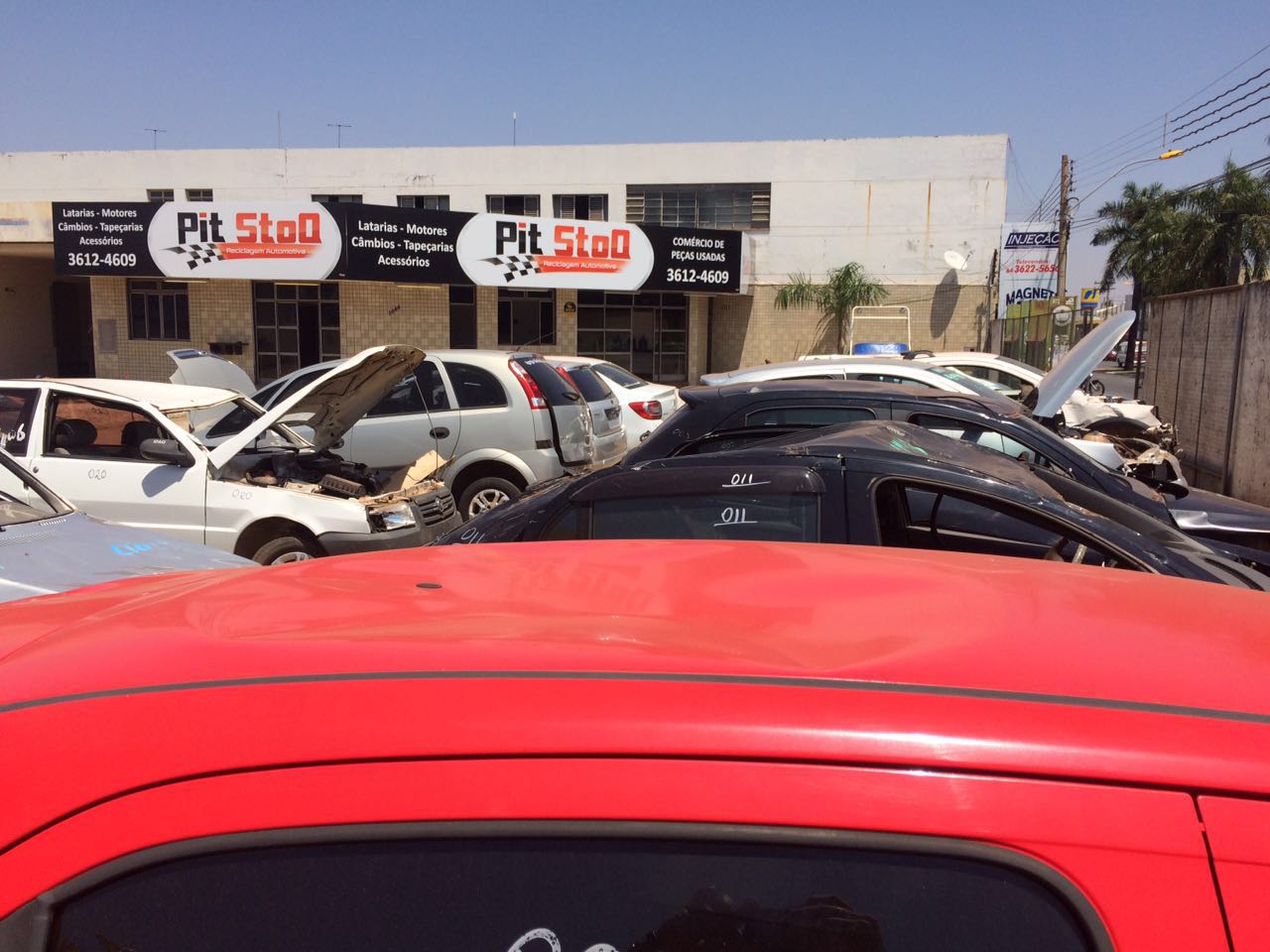Galeria 1