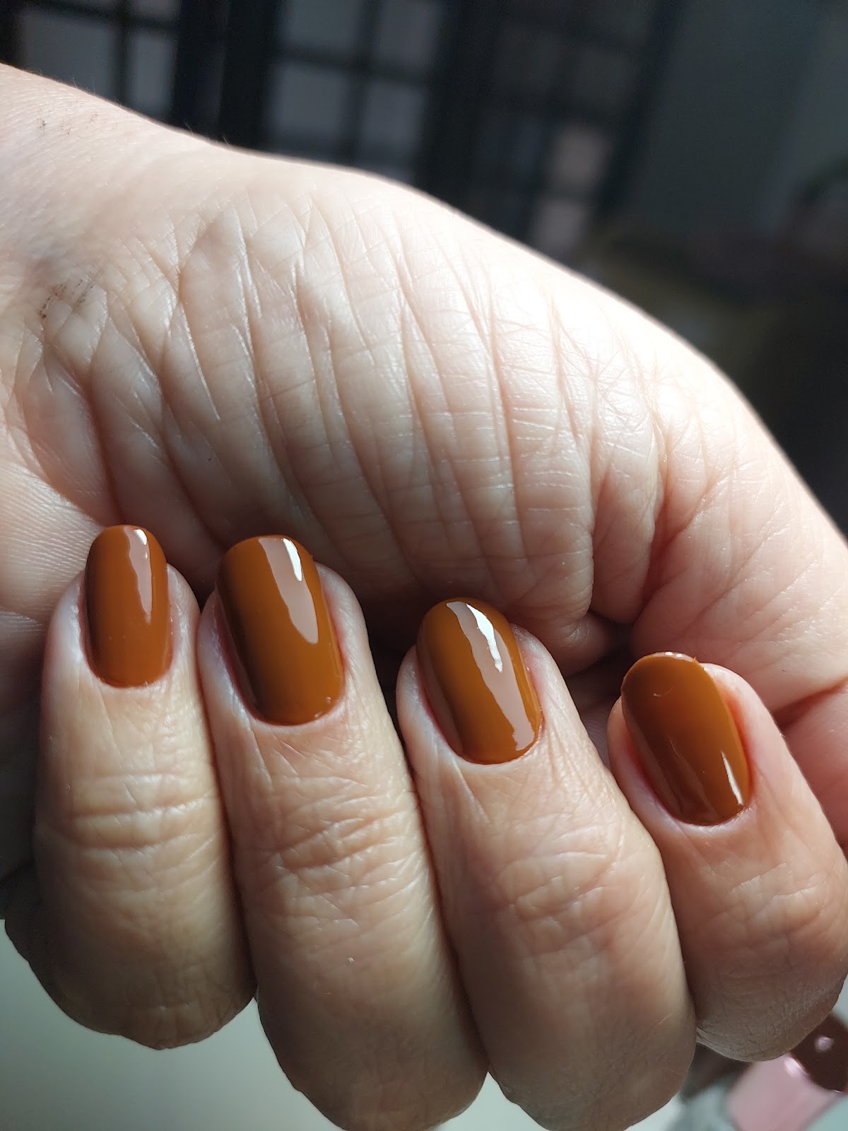 Logotipo da Manicure/ pedicure - Sibila Almeida em Rio Verde - GO