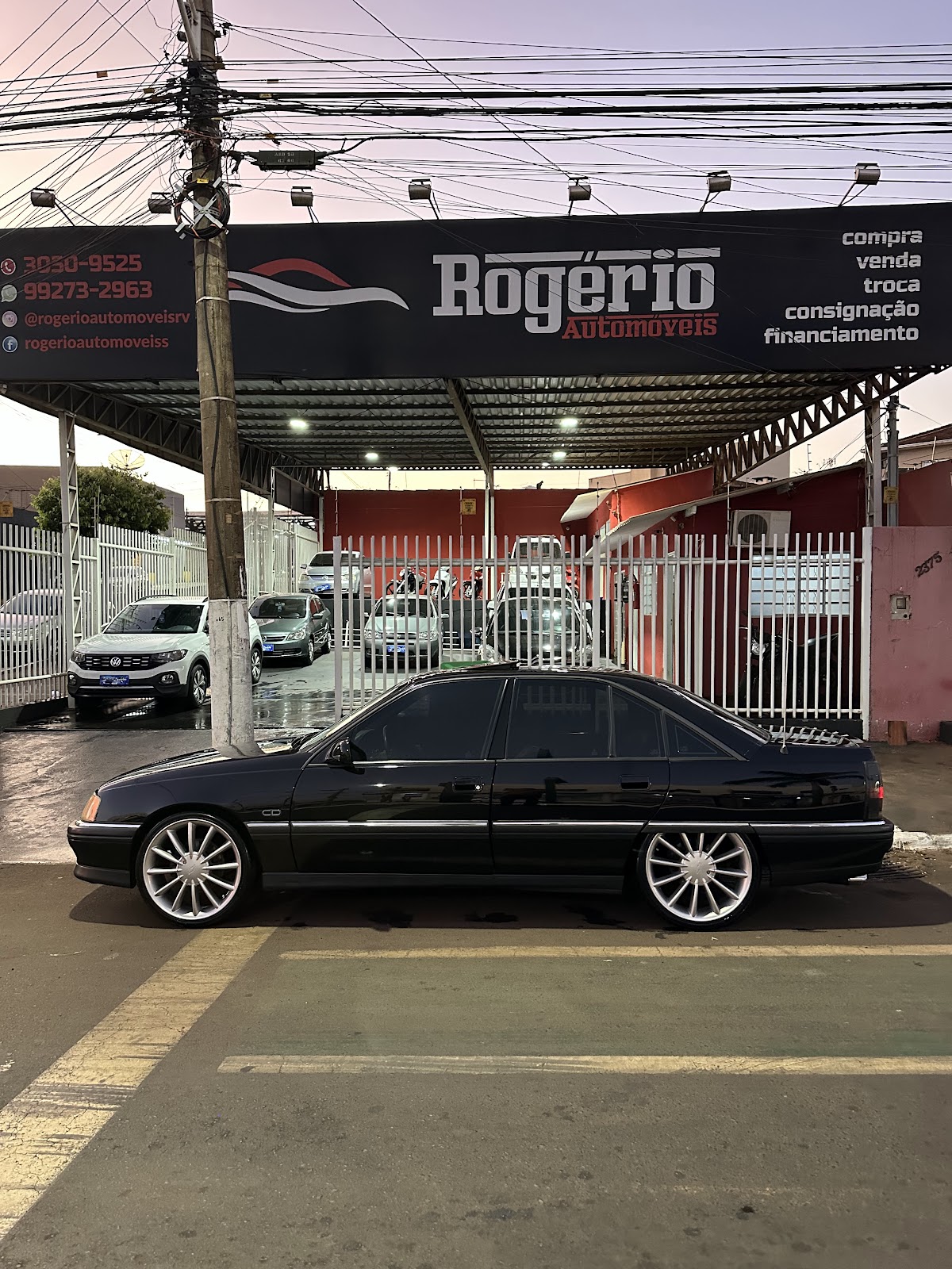 Galeria 1