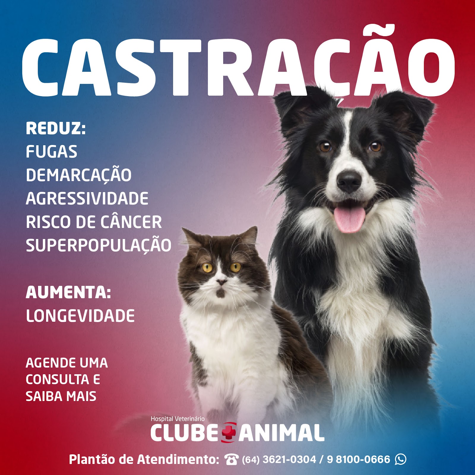 Galeria 1