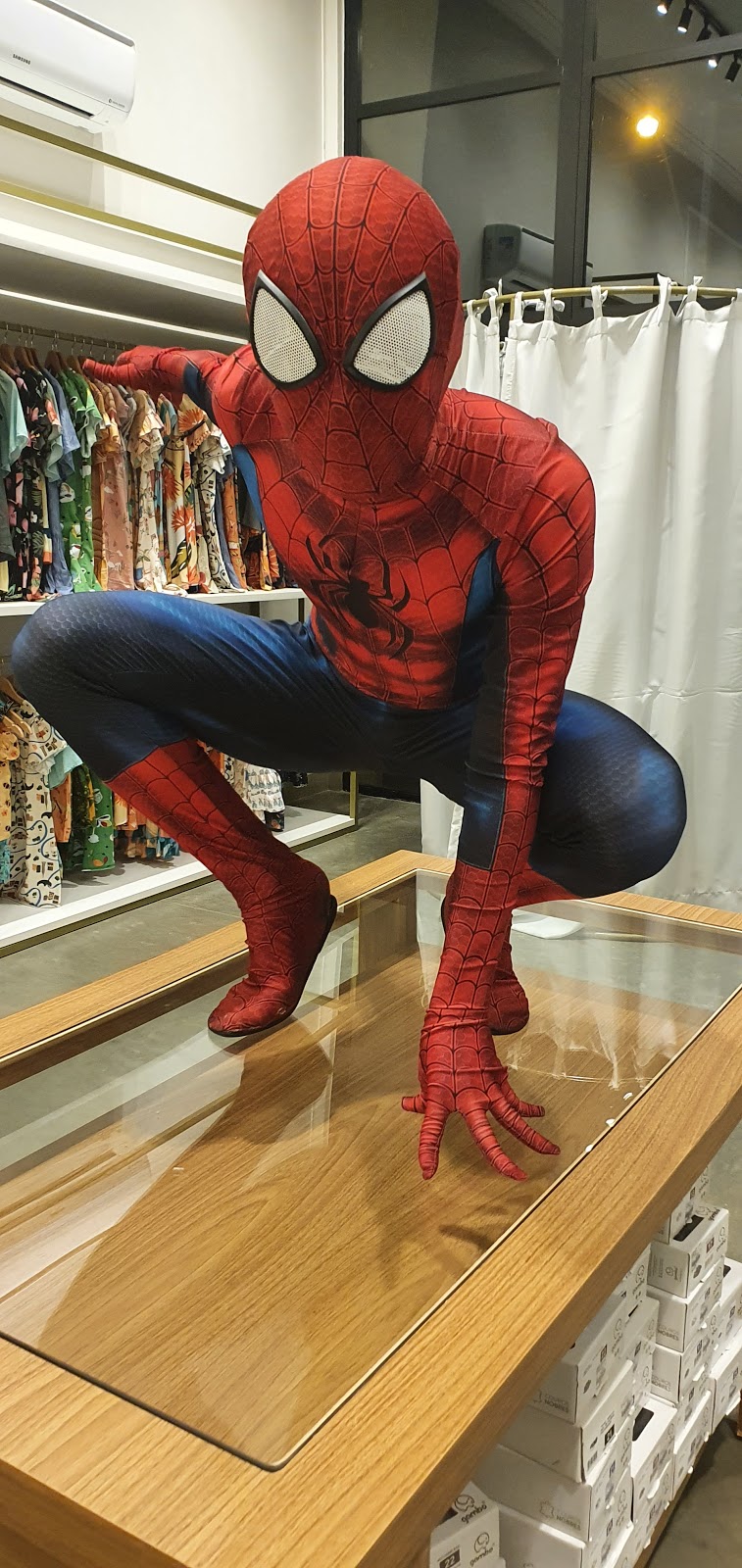 Galeria 1