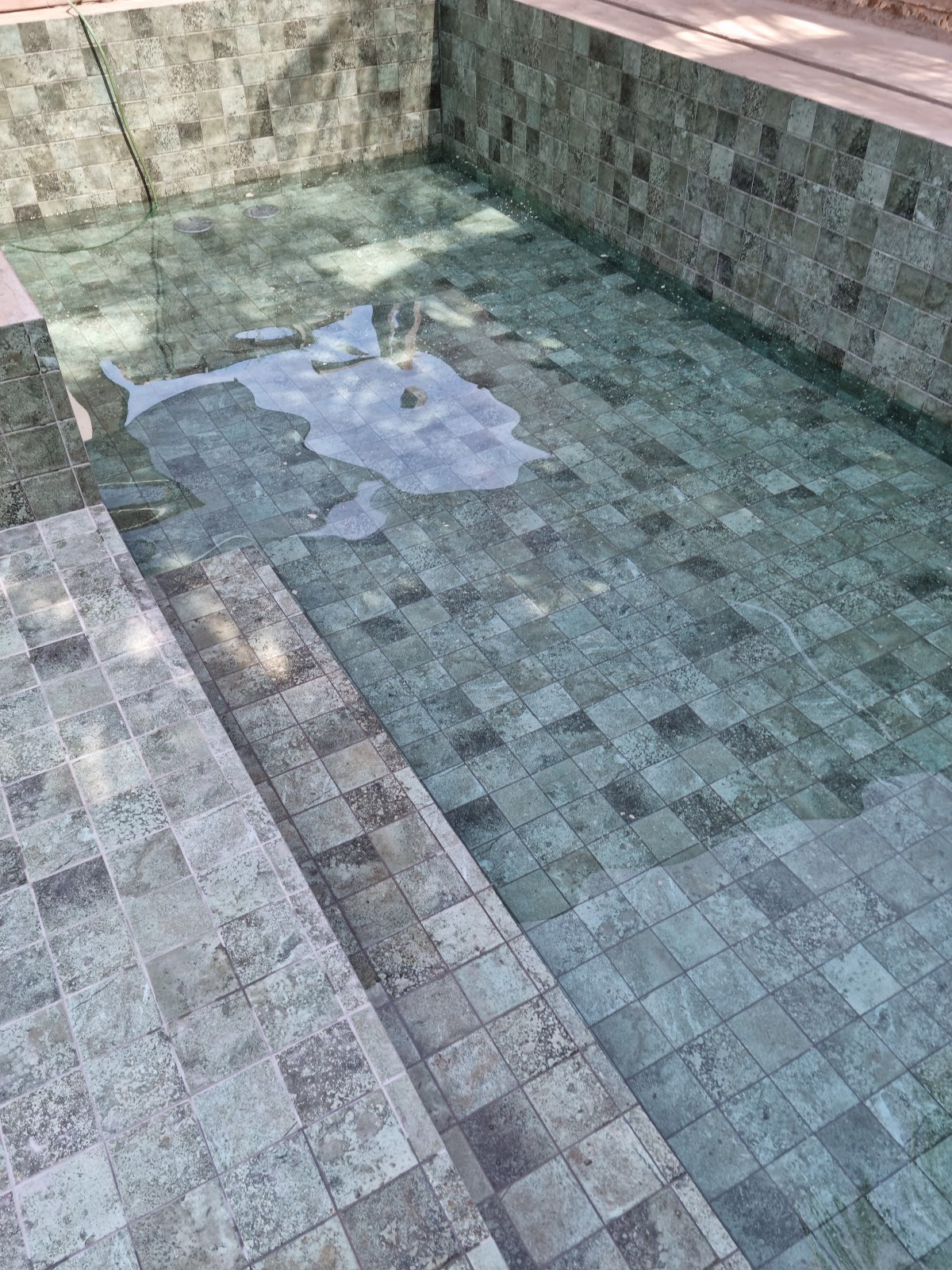Galeria 1