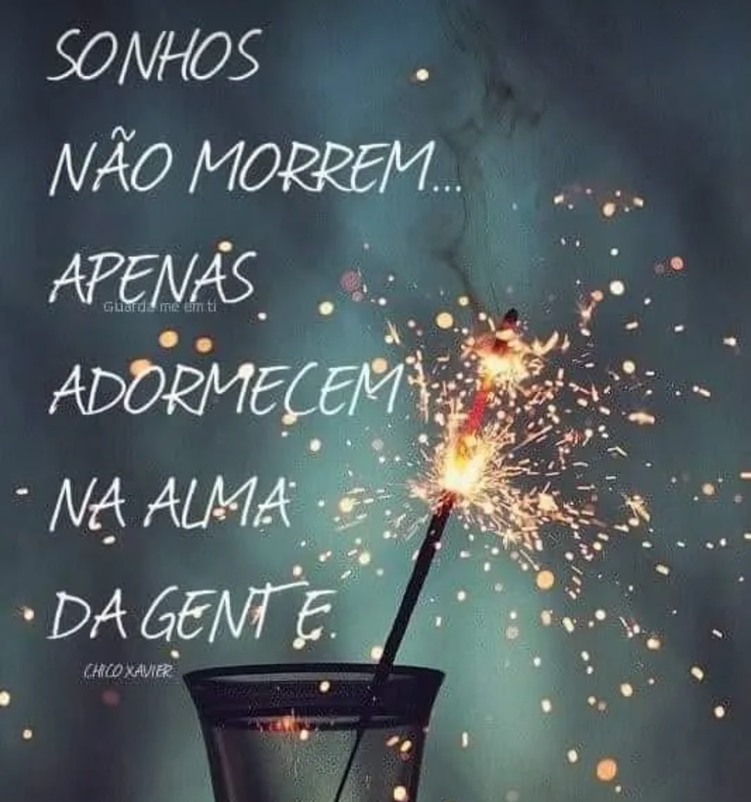 Galeria 1