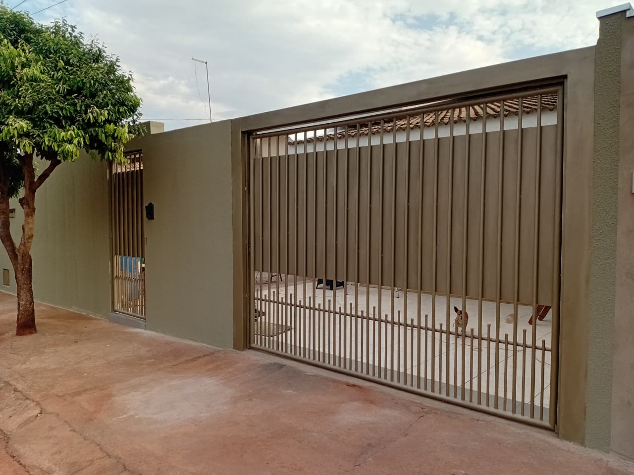 Galeria 1