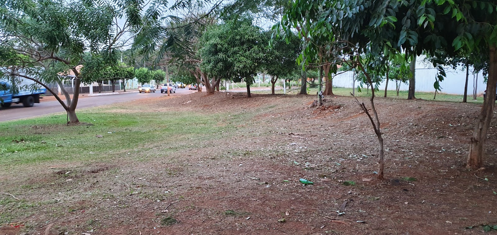 Galeria 1