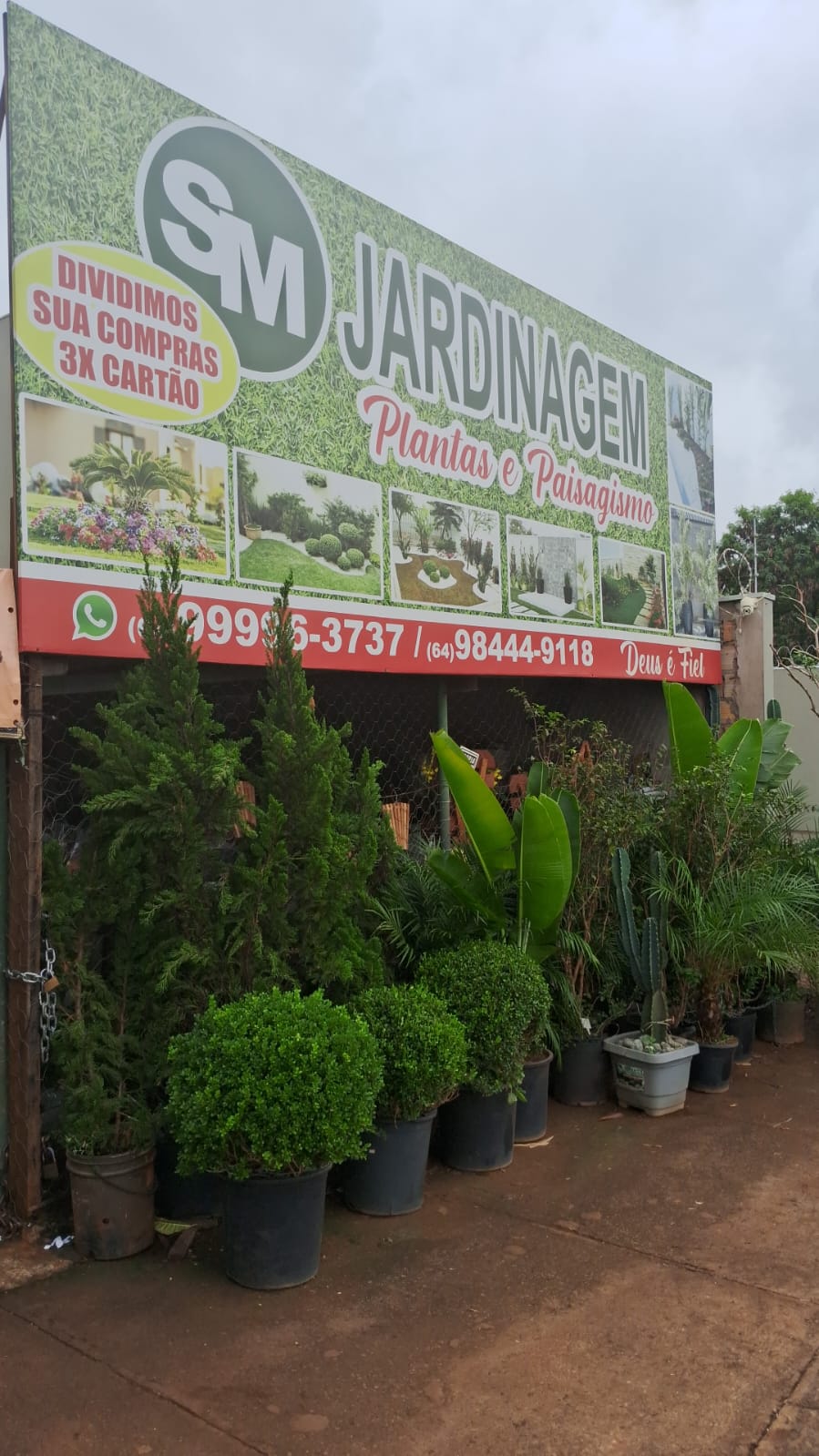 Logotipo da SM Jardinagem e Paisagismo em Rio Verde - GO