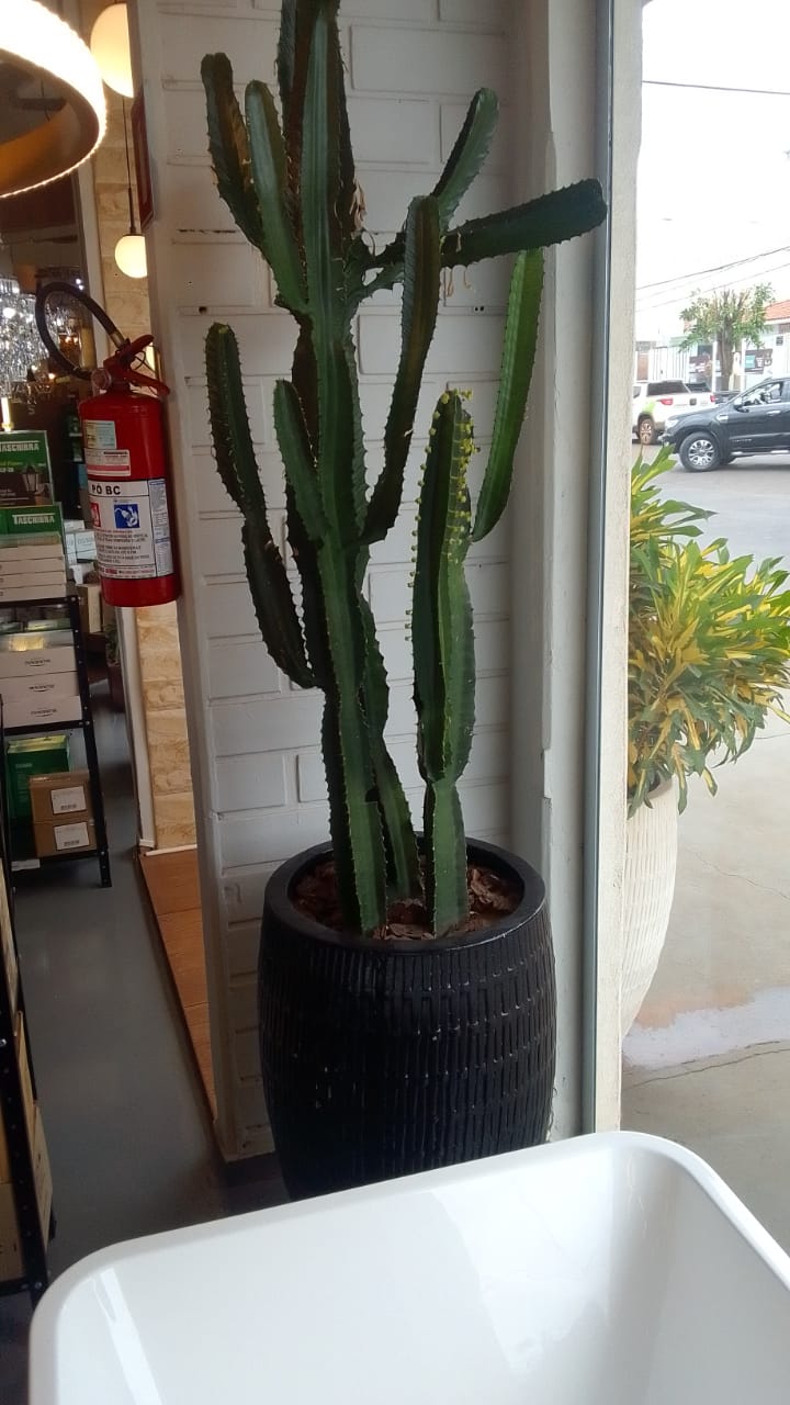 Galeria 1