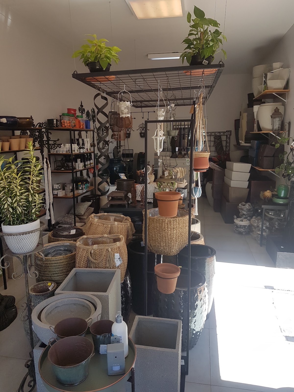 Galeria 1