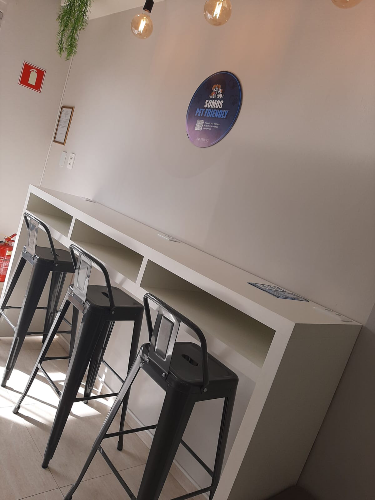 Galeria 1