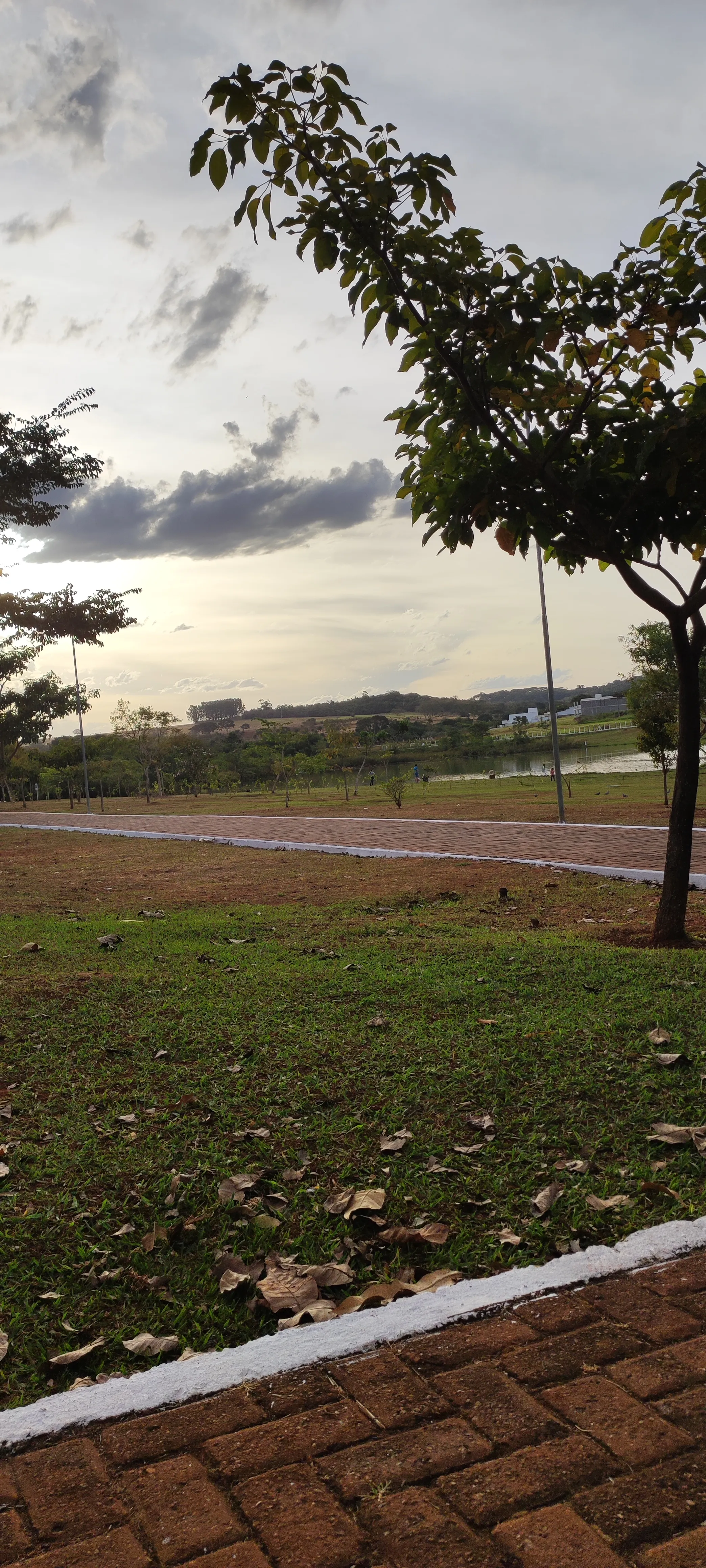 Galeria 11