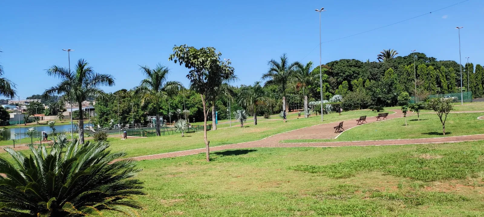 Galeria 5